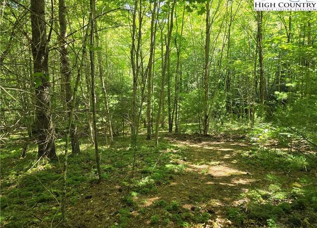 Property at Lot 50 Deer Spring Ln/white Tail Trl, West Jefferson, NC 28694