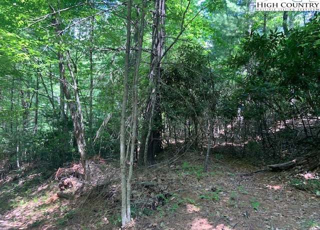 Property at tbd Lower Nettleknob Rd, West Jefferson, NC 28694