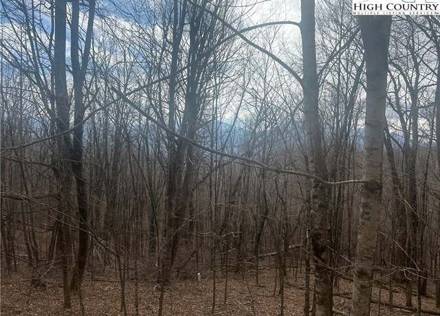Property at TBD Rainbow Ridge Rd, Zionville, NC 28698