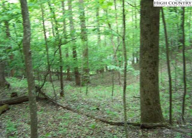 Property at Tbd Powder Horn Mountain Rd Unit N/A, Deep Gap, NC 28618