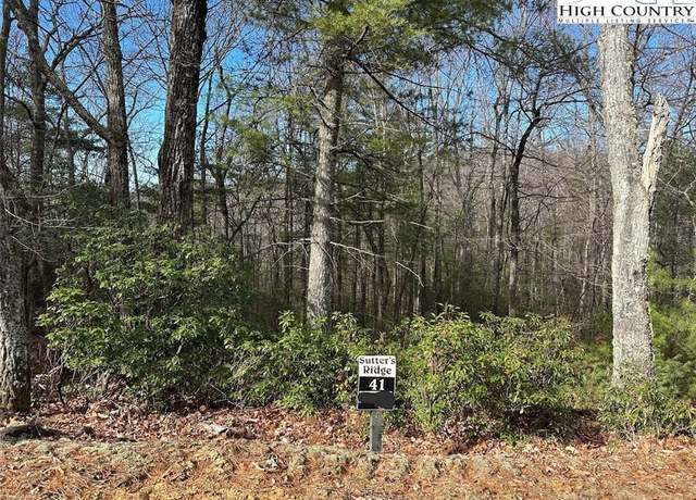 Property at Undisclosed address, Mcgrady, NC 28649