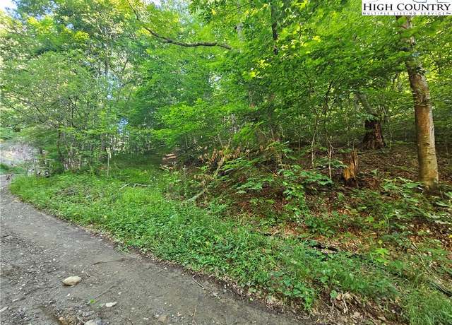 Property at TBD Immaculate Heart Way, Lansing, NC 28643