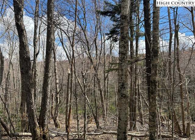 Property at 120 E Blueberry Ln, Beech Mountain, NC 28604