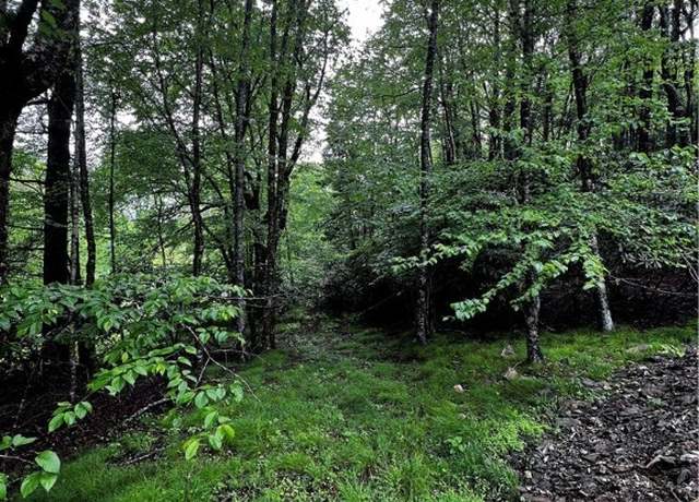 Property at Lot 40 E Cielo Rd, Blowing Rock, NC 28605