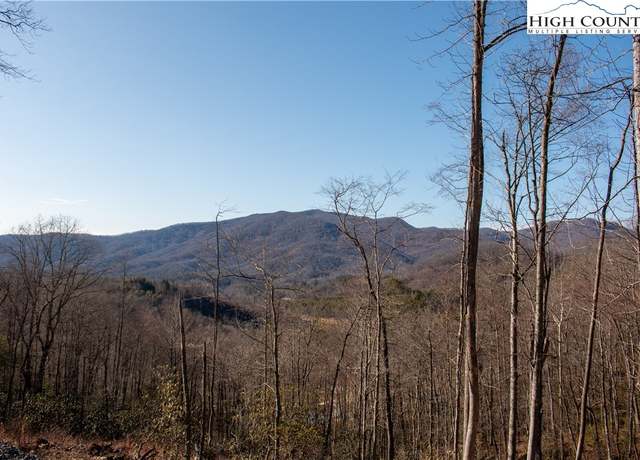 Property at 21 Mitchell Watch Dr, Spruce Pine, NC 28777