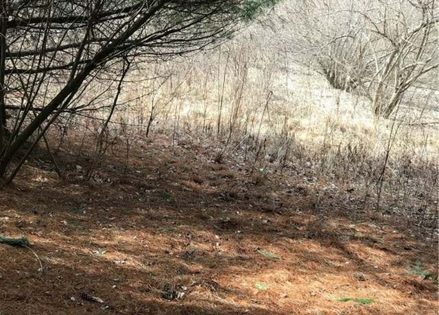 Property at TBD Deer Path Rd, Crumpler, NC 28617