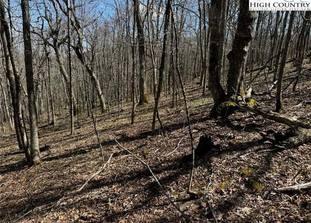 Property at TBD Saddle Rd, Boone, NC 28607