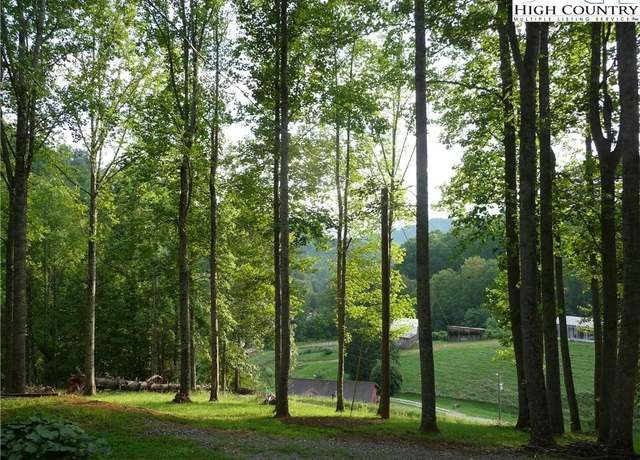 Property at TBD Joe Shoemaker Rd, Vilas, NC 28692