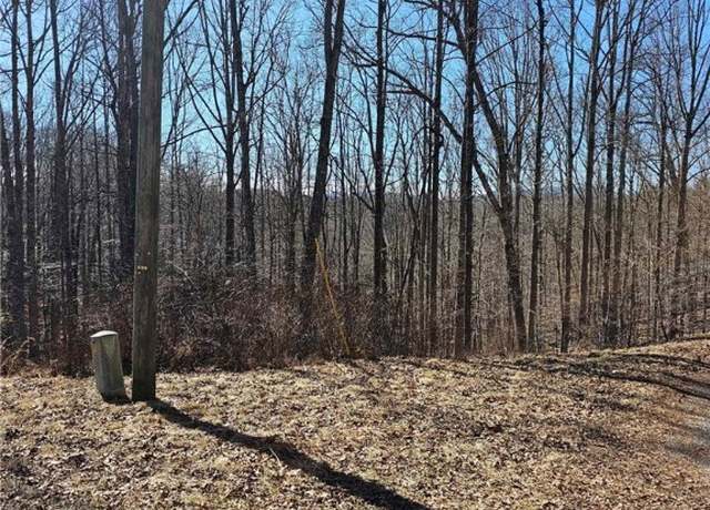 Property at TBD Happy Berry Dr, Grassy Creek, NC 28631
