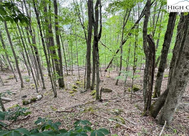 Property at 206 Wild Daisy Ln, Beech Mountain, NC 28604