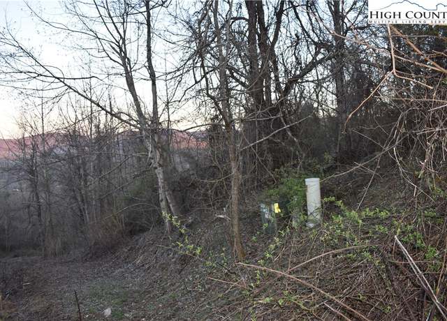 Property at Lot #59 Tom's Knob #59, Sparta, NC 28675