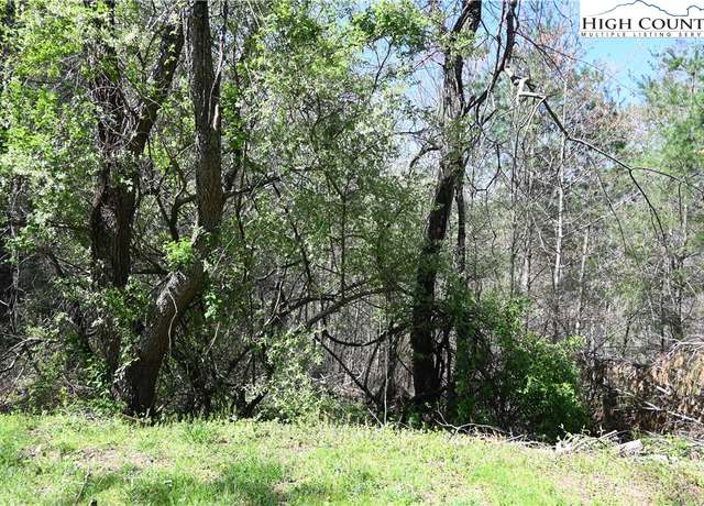 Property at 15A River Bend Hills Rd, Crumpler, NC 28617