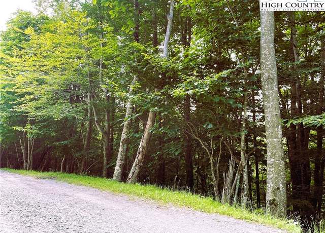 Property at 116 Aster Trail Trl, Beech Mountain, NC 28604