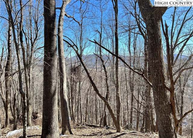 Property at TBD/Lot 23 Scenic Mountain Dr, Sparta, NC 28675