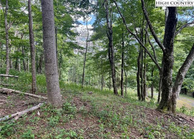 Property at TBD Mystery Mountain Dr, West Jefferson, NC 28694