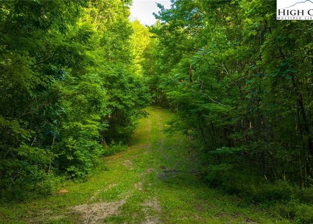 Property at TBD-5 Big Laurel Rd, Creston, NC 28615