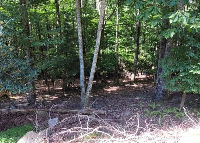 Property at 201 Jackpine Rd, Beech Mountain, NC 28604