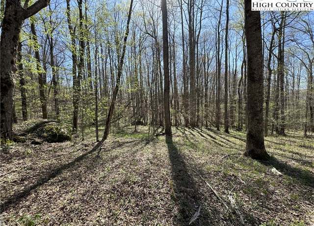 Property at TBD Katie Ln, Bakersville, NC 28705