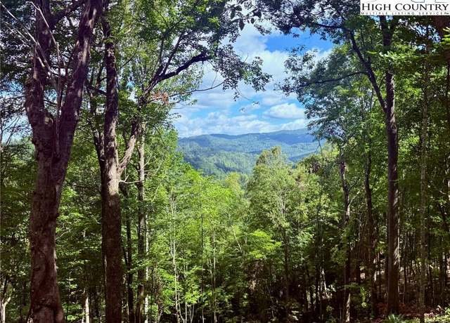 Property at 190 Raspberry Ln, Elk Park, NC 28622