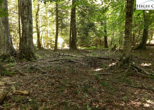 Property at 127 Wild Daisy Ln, Beech Mountain, NC 28604