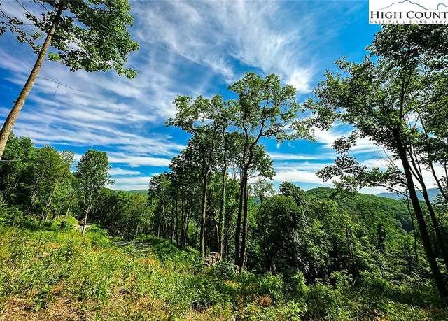 Property at C110 Mossy Bark Trl, Banner Elk, NC 28604
