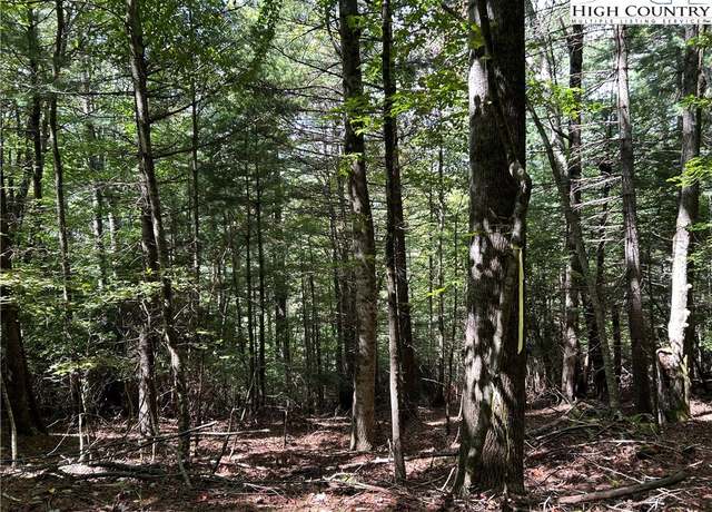 Property at TBD Cherry Dr, Jefferson, NC 28640