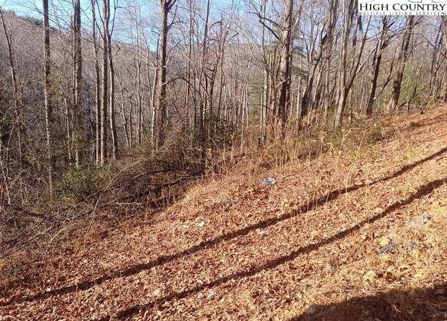 Property at TBD Orchard Creek Rd, Deep Gap, NC 28618