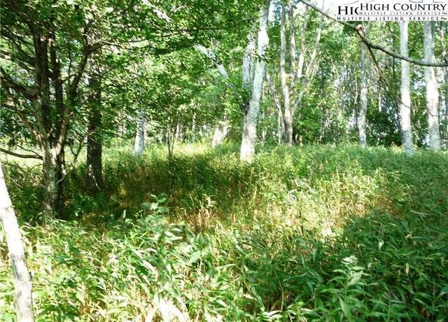 Property at Lot H406 Buffalo Nvno, Zionville, NC 28696