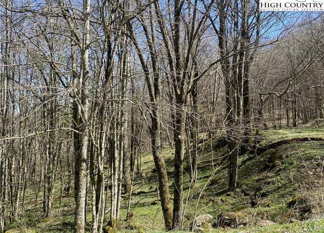 Property at TBD/Lot 1 Trillium Creek Run, Newland, NC 28657
