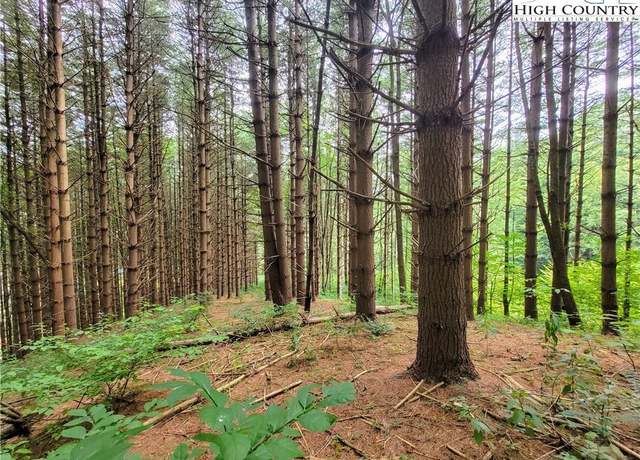 Property at Lot 7 West Mill Creek Est, Warrensville, NC 28643
