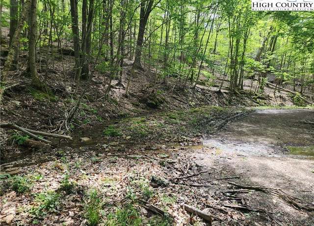 Property at 138 Hollow Tree Rd, Beech Mountain, NC 28604