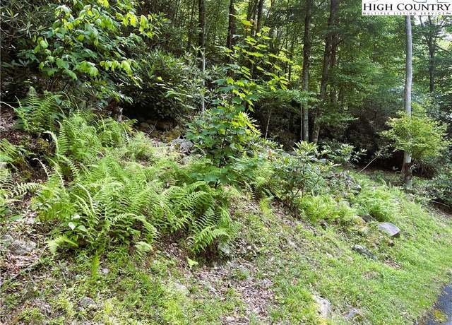Property at 523 Pinnacle Ridge Rd, Beech Mountain, NC 28604