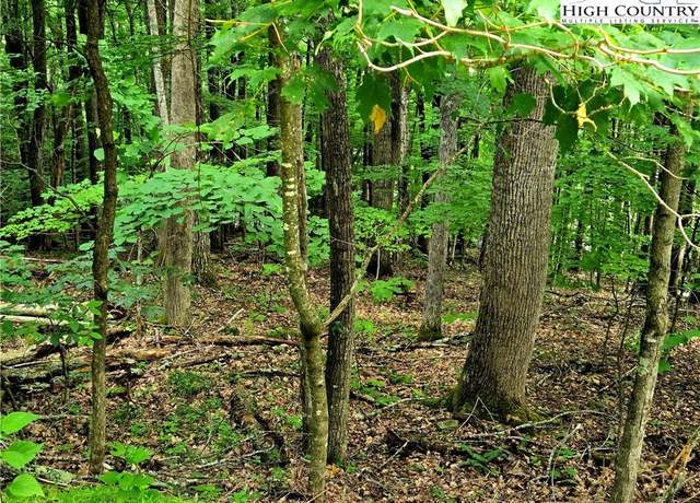 Property at TBD Red Fox Rdg, Boone, NC 28607