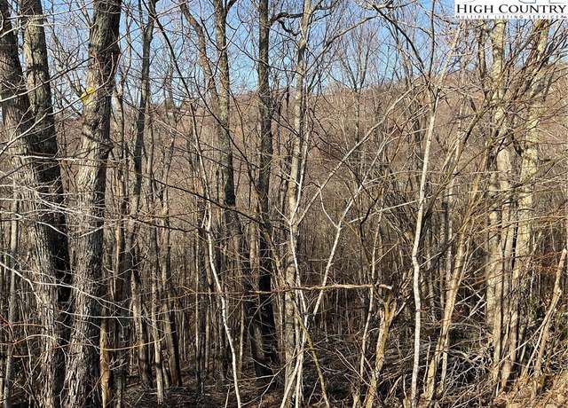 Property at 134 Lower Snowbird Trl, Beech Mountain, NC 28604