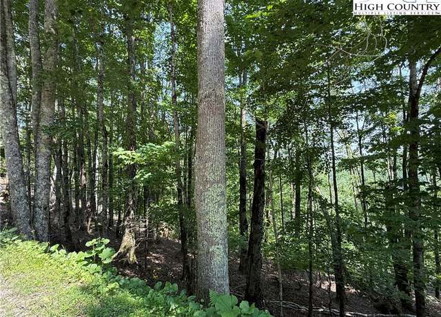 Property at 115 Hollow Tree Rd, Beech Mountain, NC 28604