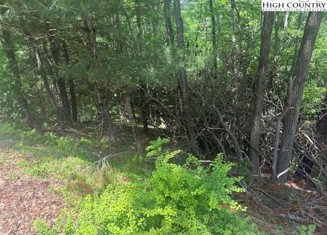 Property at TBD Deerwood Rd #58, Sparta, NC 28675