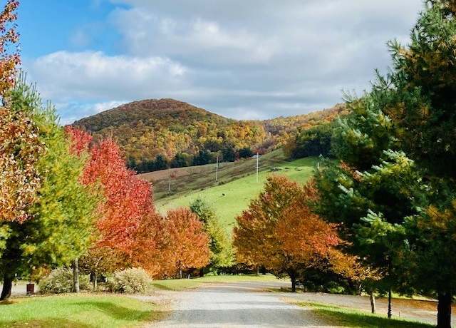 Property at Lot #7 Ridgewood Rd, Sparta, NC 28675