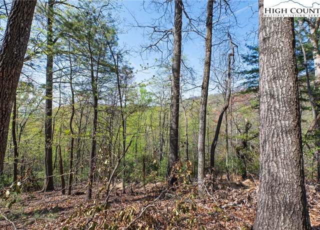 Property at TBD Bear Track Ln, Lenoir, NC 28645