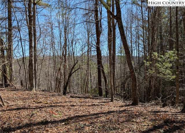 Property at Lot 4 Running Cedar Ln, Crumpler, NC 28617