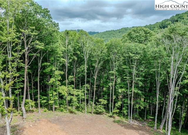 Property at C-109 Mossy Bark Trl, Banner Elk, NC 28604