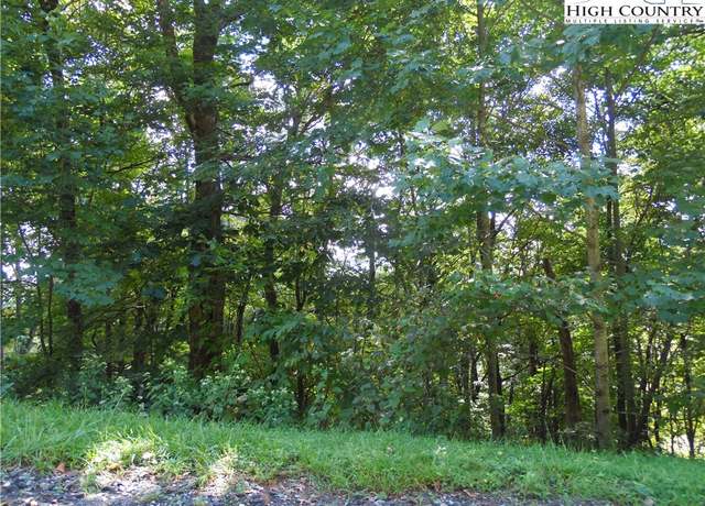 Property at 15 Great Sky Dr, Todd, NC 28684
