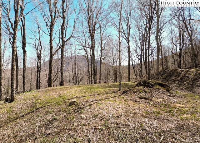 Property at 796 Goat Mountain Rd, Zionville, NC 28698