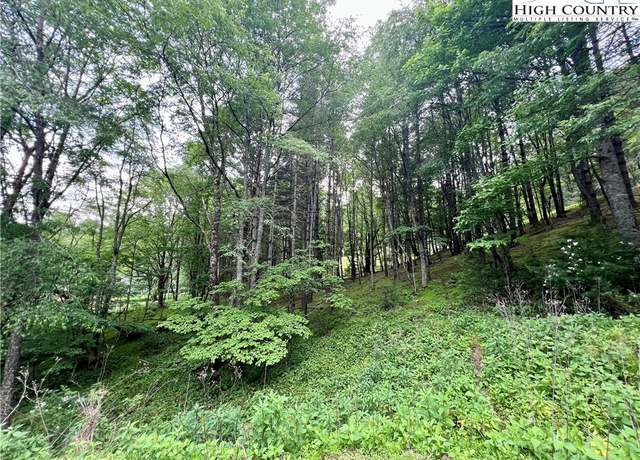 Property at Lot 3 Riverwood Ln, Sugar Grove, NC 28679
