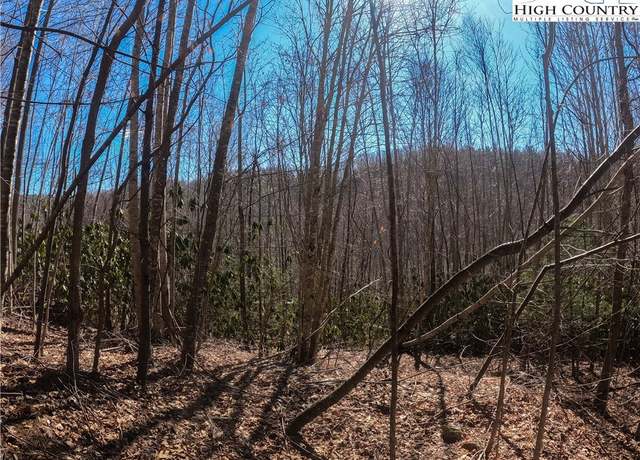 Property at Lot 99 Beaver Dam Rd, Elk Park, NC 28622