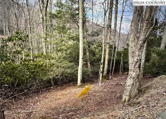 Property at 123/125 Locust Ridge Rd, Beech Mountain, NC 28604
