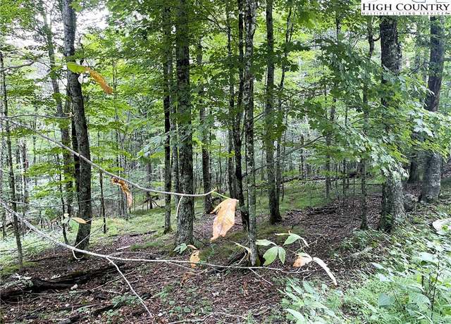 Property at 211 Sawmill Branch Rd, Beech Mountain, NC 28604