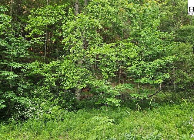 Property at 0 Chestnut Dl, Newland, NC 28657