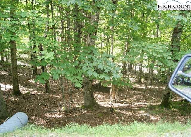 Property at 109 Lower Grouse Ridge Rd, Beech Mountain, NC 28604