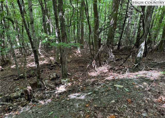 Property at 113 Arrowhead Rd, Beech Mountain, NC 28604