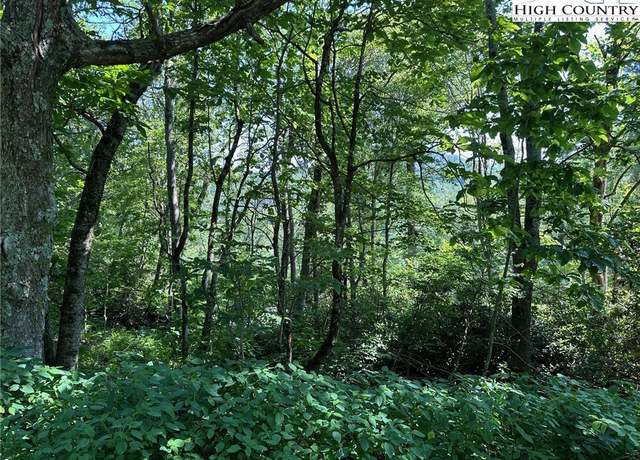 Property at TBD Camden Ln, Blowing Rock, NC 28605